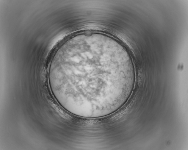 X0000093521067200710261214