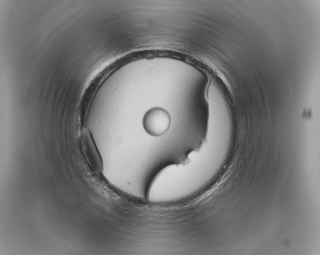 X0000093521069200710261214