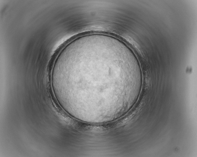 X0000093521070200710261214