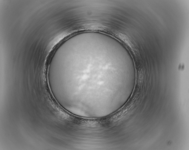 X0000093521071200710261214