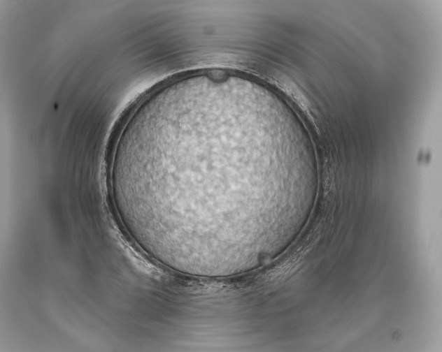 X0000093521072200710261214