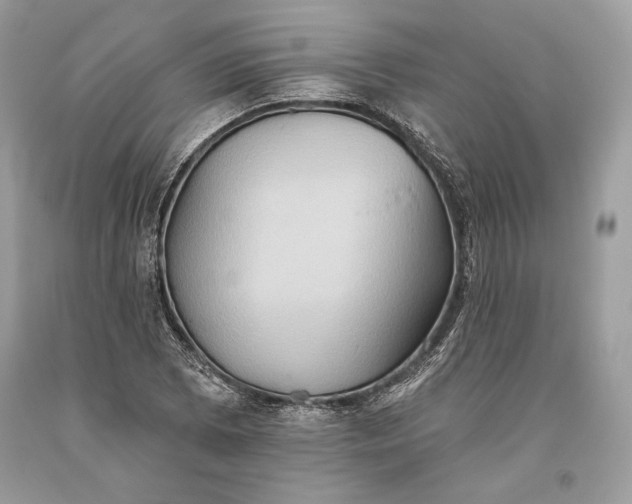 X0000093521073200710261214