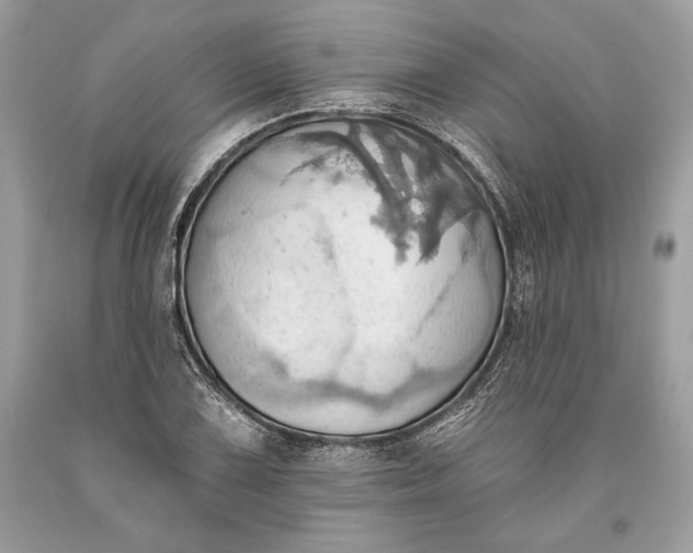 X0000093521075200710261214