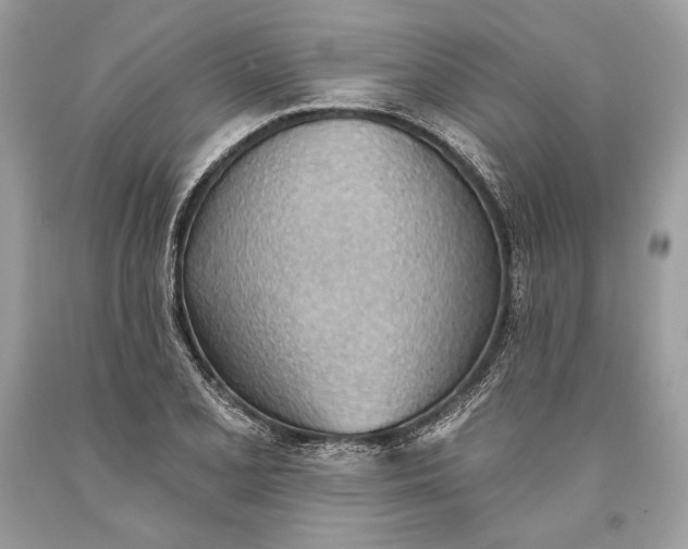 X0000093521077200710261214