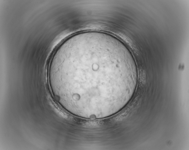 X0000093521078200710261214