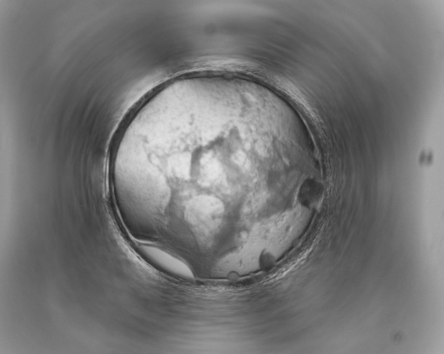 X0000093521079200710261214