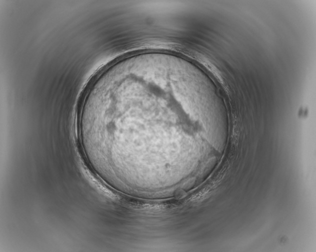 X0000093521080200710261214