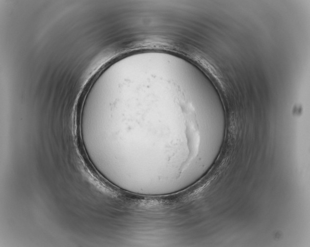 X0000093521082200710261214