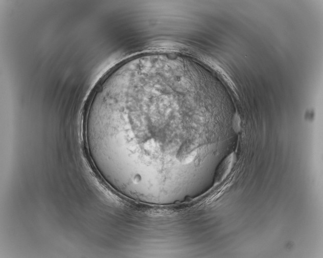 X0000093521083200710261214