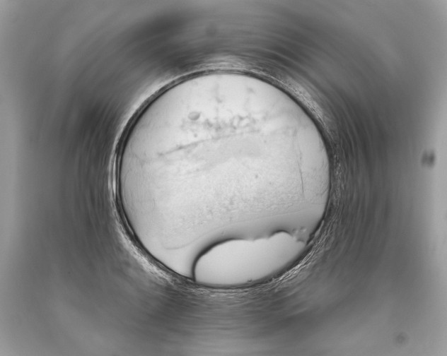 X0000093521084200710261214