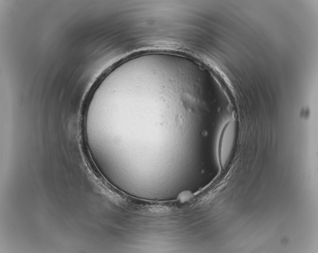 X0000093521085200710261214