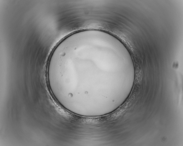 X0000093521086200710261214