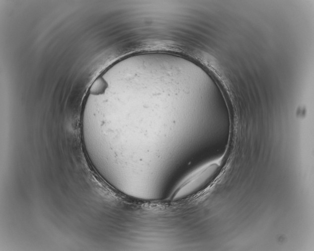 X0000093521089200710261214