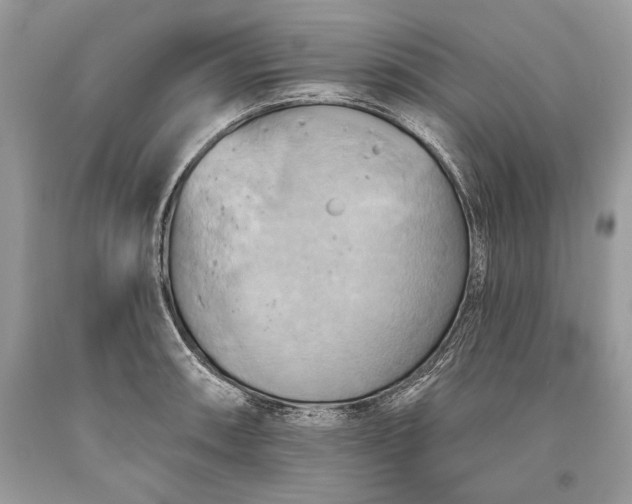 X0000093521090200710261214