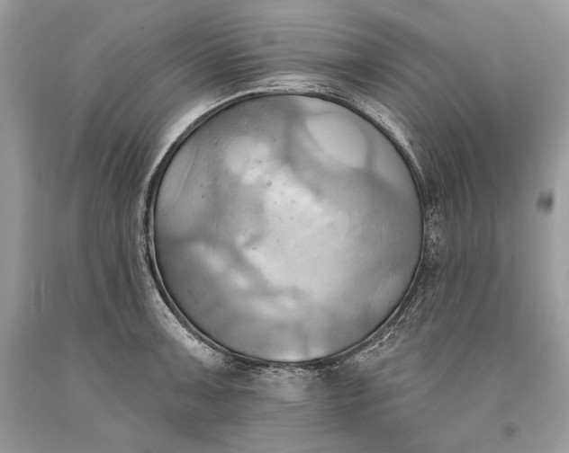 X0000093521091200710261214