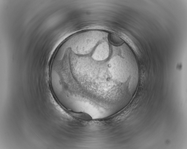 X0000093521092200710261214