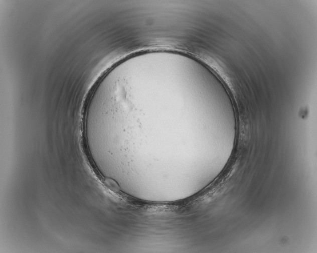 X0000093521093200710261214