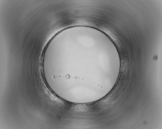 X0000093521094200710261214