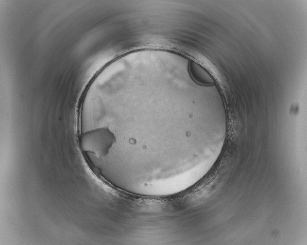 X0000093521095200710261214