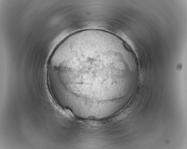 X0000093521096200710261214