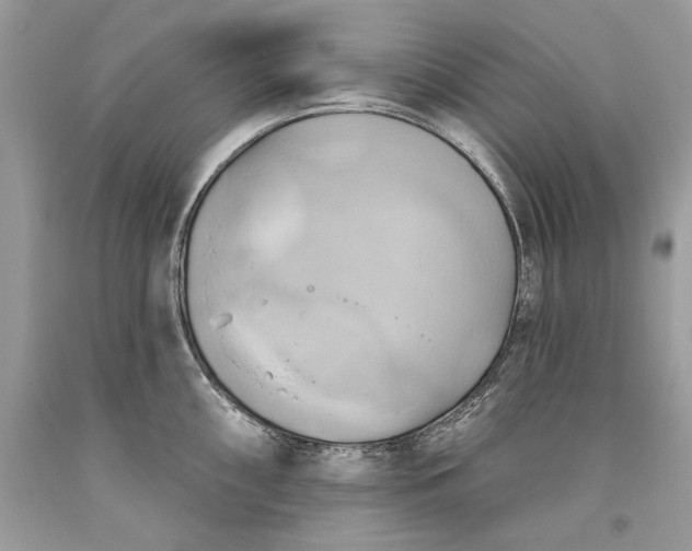 X0000093521098200710261214