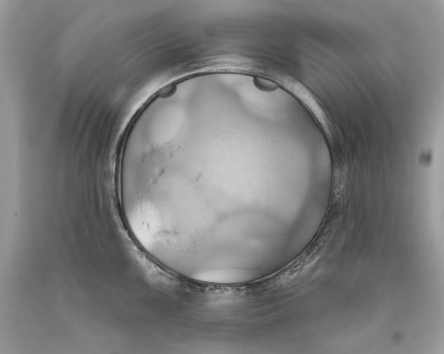 X0000093521099200710261214