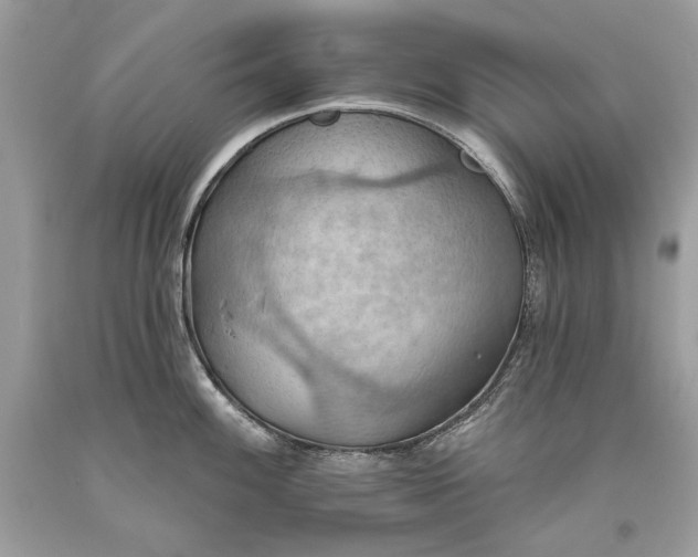 X0000093521100200710261214