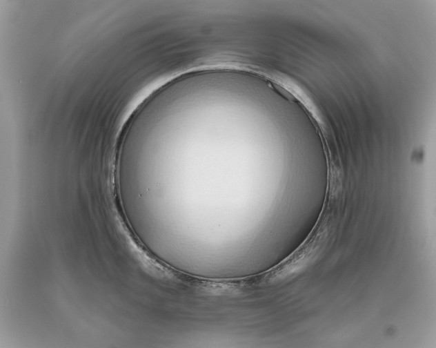 X0000093521101200710261214