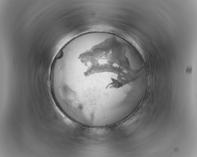 X0000093521103200710261214