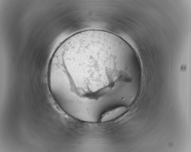 X0000093521104200710261214