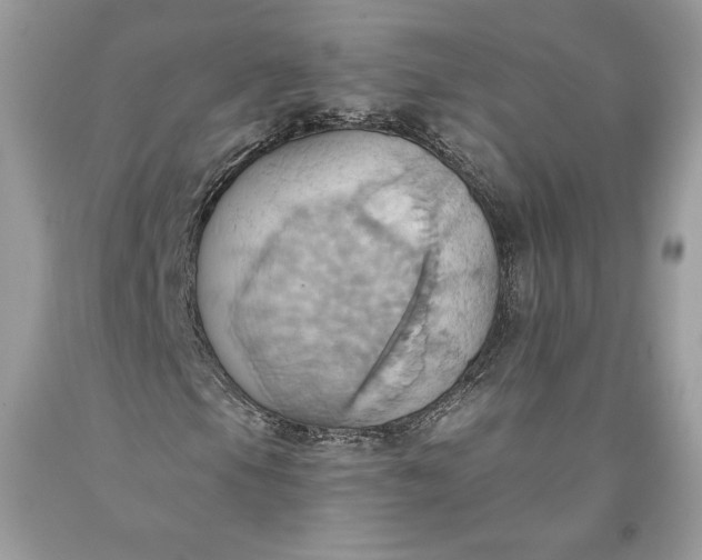 X0000093521105200710261213