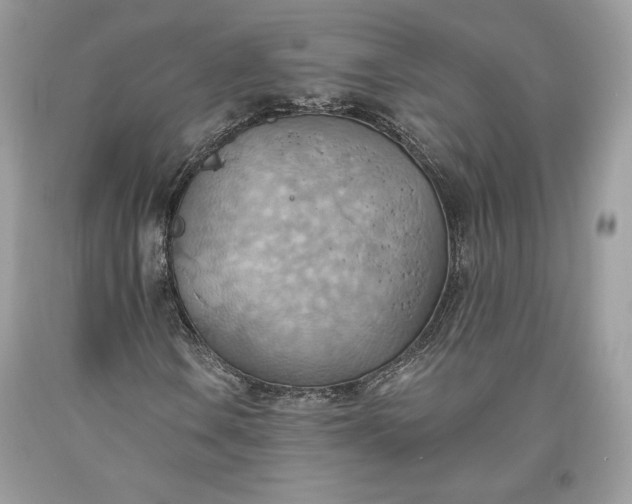 X0000093521106200710261213