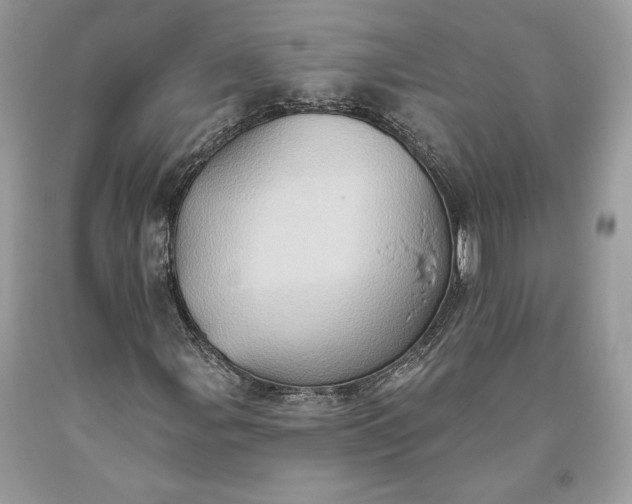 X0000093521107200710261213