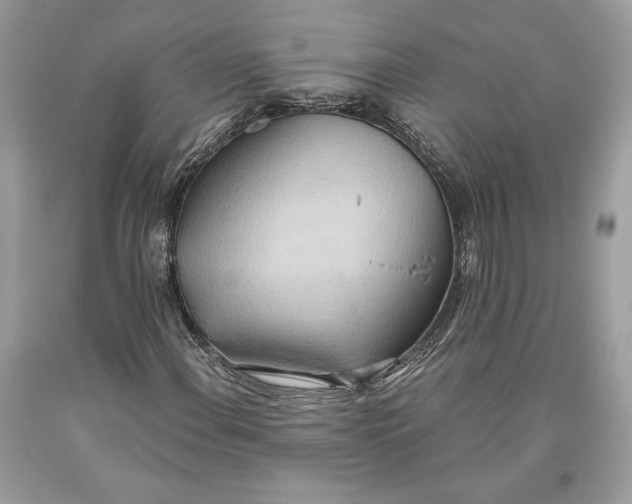 X0000093521108200710261213