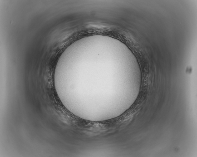 X0000093521109200710261213