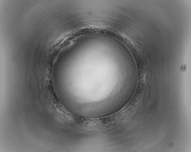 X0000093521110200710261213