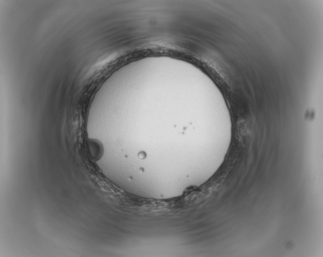 X0000093521111200710261213