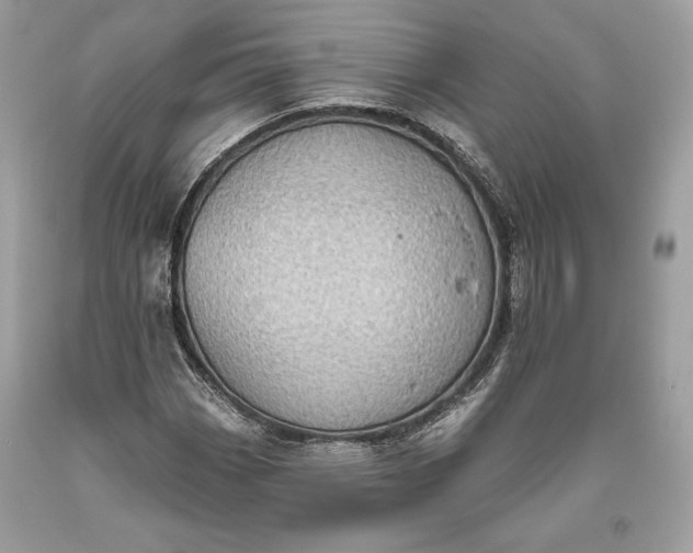 X0000093521113200710261213