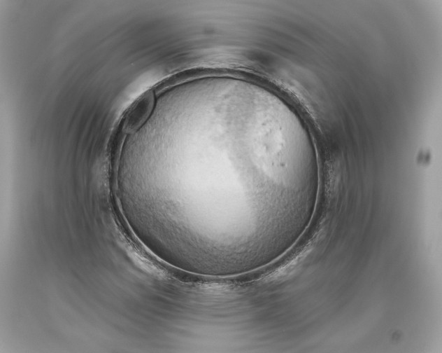 X0000093521114200710261213