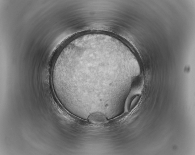 X0000093521115200710261213