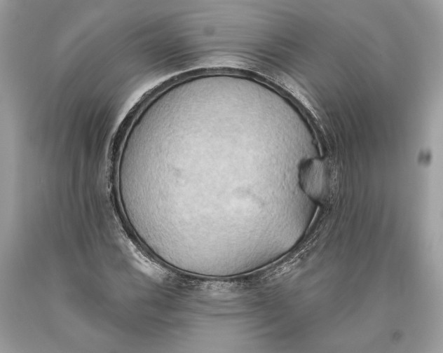 X0000093521116200710261213