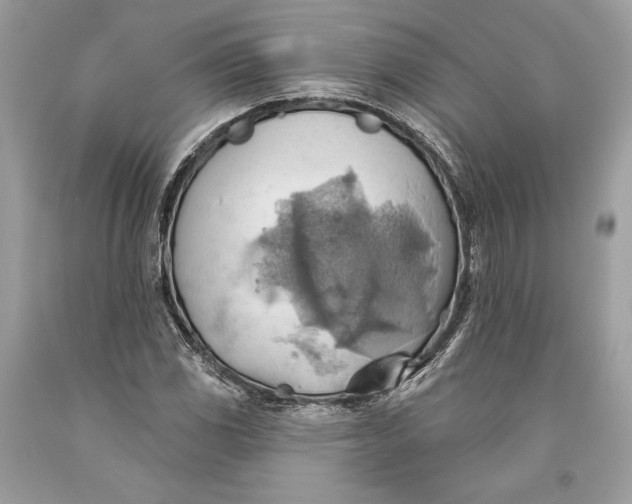 X0000093521117200710261213