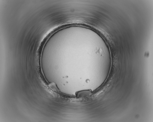 X0000093521118200710261213