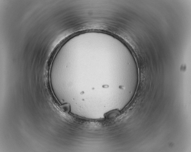 X0000093521119200710261213