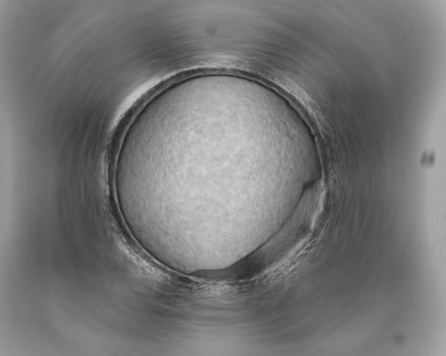 X0000093521120200710261213