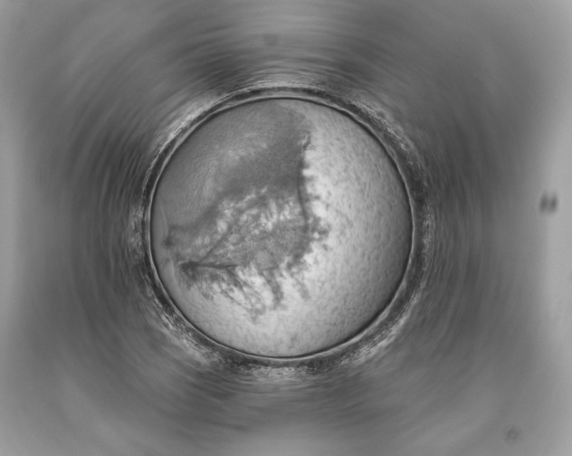 X0000093521121200710261213