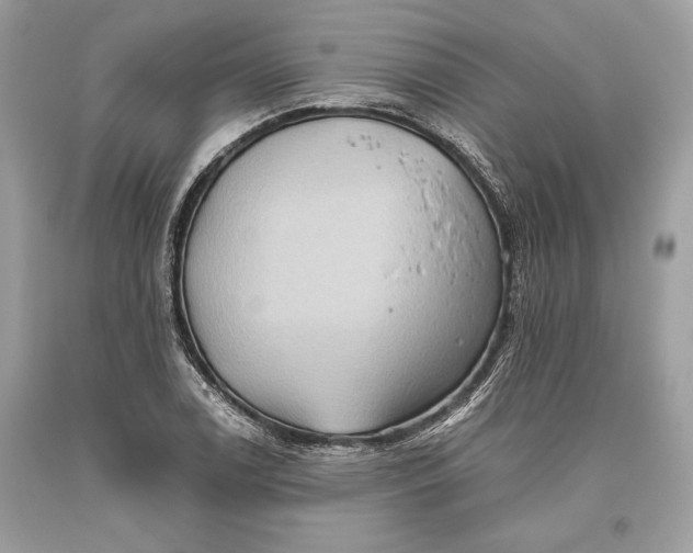 X0000093521122200710261213