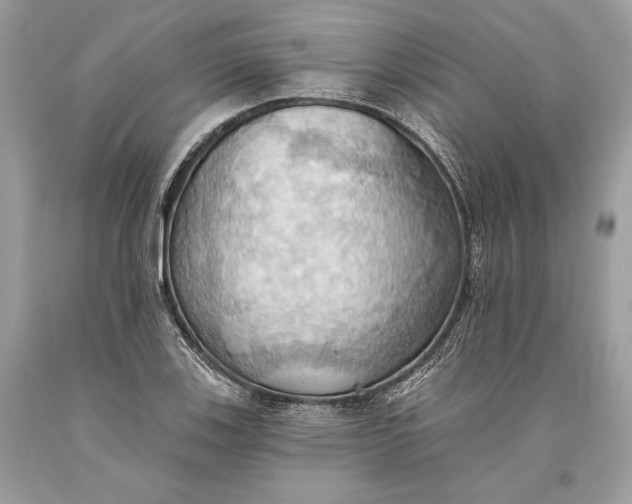 X0000093521123200710261213