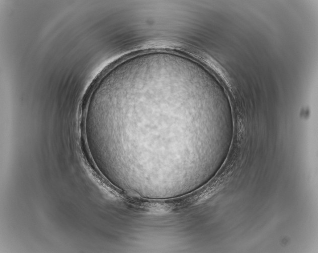 X0000093521124200710261213