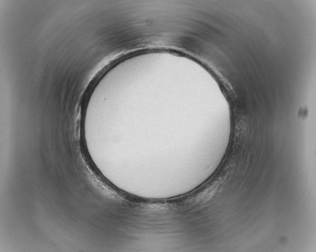 X0000093521126200710261213